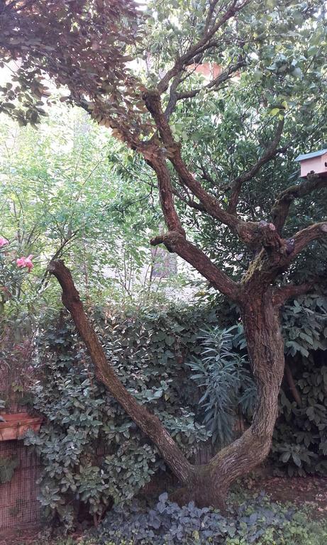 Appartamento Giardino Verde Modena Dış mekan fotoğraf
