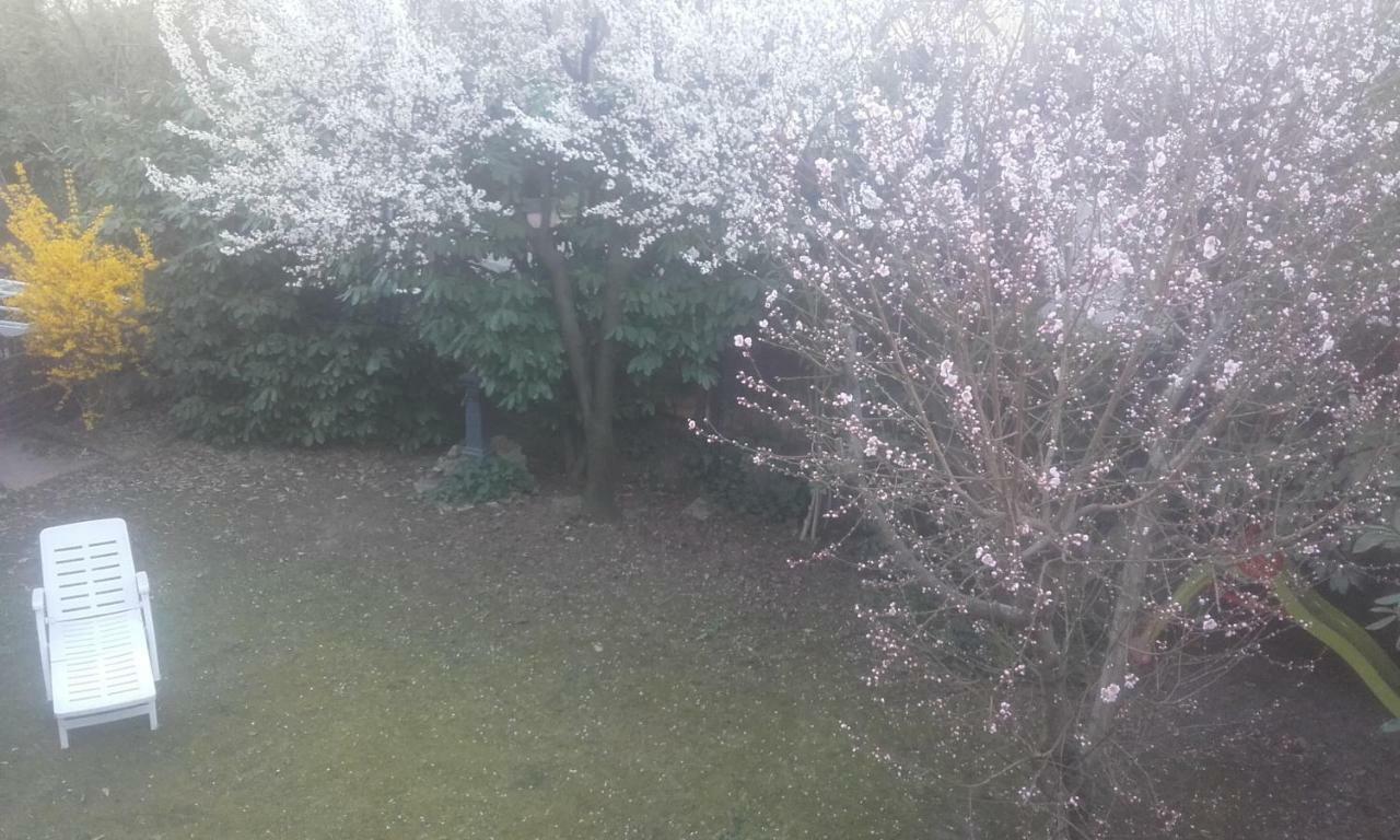 Appartamento Giardino Verde Modena Dış mekan fotoğraf